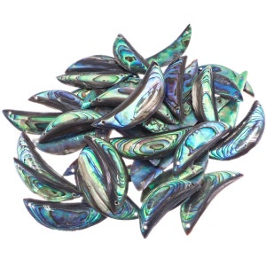 May include: A pile of iridescent abalone shell pieces in shades of green, blue, and black. The shells are shaped like crescent moons and have a smooth, polished surface.
