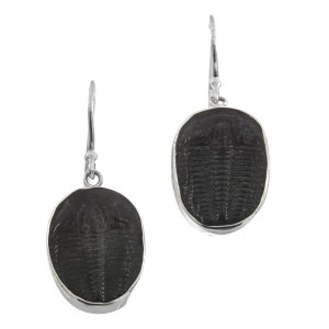 0.8&quot; Intact Full Face! Utah Trilobite 925 Sterling Silver Earrings