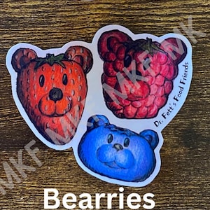 LES BEARRIES_Dr. Fett's Food Friends [associations artistiques faites main avec des animaux, jeux de mots sur la nourriture, nutrition amusante, oeuvres d'art fruits-légumes, cadeaux nutrition]
