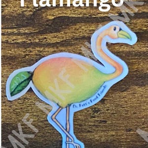 FLAMANGO_Dr. Fett's Food Friends [associations artistiques faites main avec des animaux, jeux de mots sur la nourriture, nutrition amusante, oeuvres d'art fruits-légumes, cadeaux nutrition]
