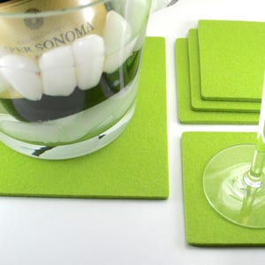 Wool Felt Coasters and Trivet Set
