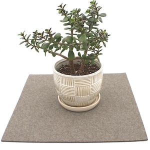 May include: A small green succulent plant in a white ceramic pot with a woven pattern. The pot is sitting on a brown felt mat.