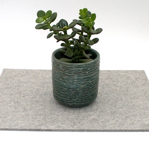 May include: A gray felt coaster with a green ceramic pot with a succulent plant inside.