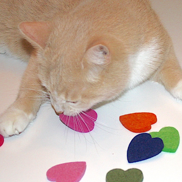 Cat Toys, 100% Merino Wool Felt Heart Cat Toy With or Without Catnip Toys for Cats Natural