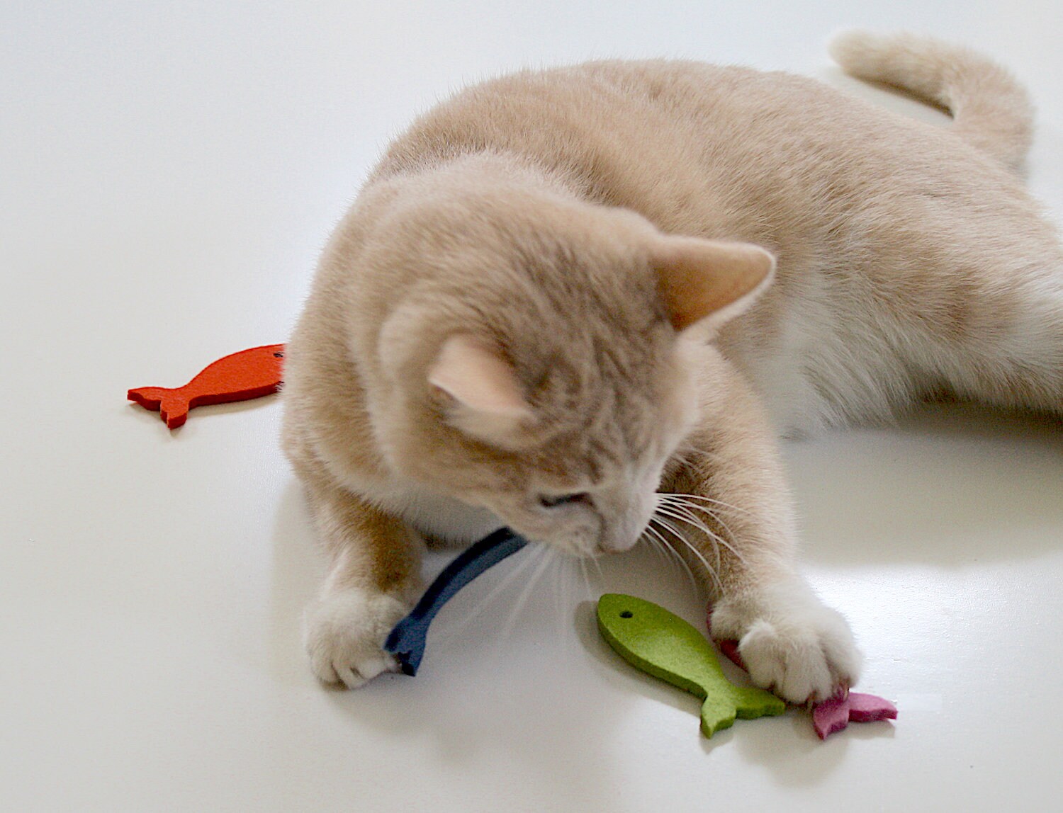 Cat Nip Toys Cat Glaciart One Felt Mouse Cat Toy – Soft Fuzzy - Main Image