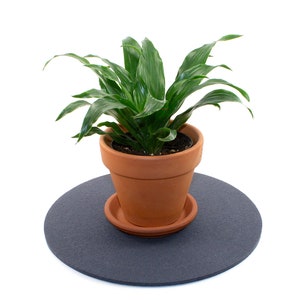 May include: A potted green plant with long, narrow leaves in a terracotta pot with a saucer. The pot and saucer are sitting on a dark grey round mat.