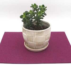 May include: A small potted succulent plant in a white ceramic pot with a woven pattern sits on a deep purple felt coaster.