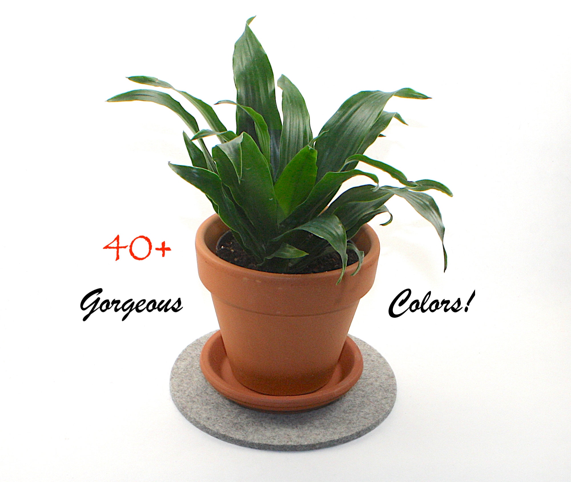 Six Inch Flower Pots - Etsy
