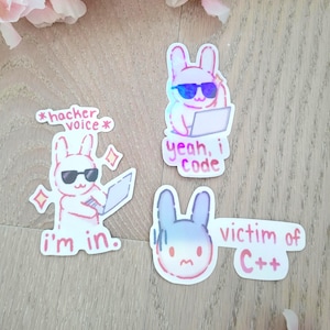 Peut inclure: Trois autocollants découpés représentant des lapins de dessin animé. L'un montre un lapin avec des lunettes de soleil et un ordinateur portable avec le texte *hacker voice* i'm in. Un autre montre un lapin avec le texte yeah, i code. Le troisième montre un lapin en détresse avec le texte victim of C++.