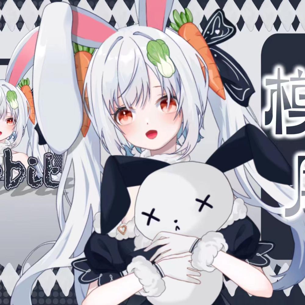 Roy Rabbit Vtuber New Year Rabbit Vtuber Model | Full Body Live2d Design - Etsy