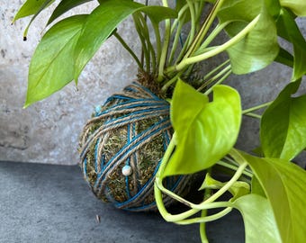 Hanging Neon Pothos Kokedama: Handmade Moss Ball Houseplant Decor