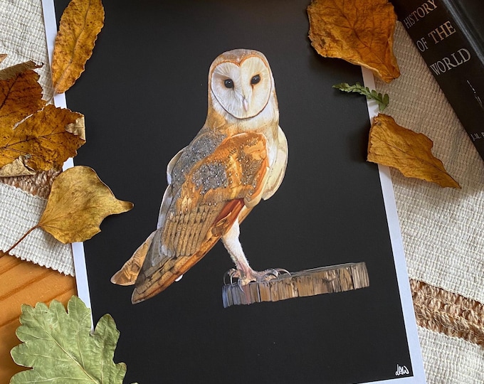 Barn Owl Unique Giclee Print | Sustainable | Wall Art | Ready To Frame | A5-A3