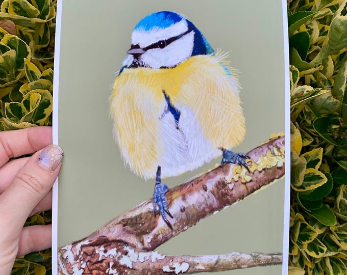Adorable Blue Tit Illustration | Giclee Print | Sizes A5-A3