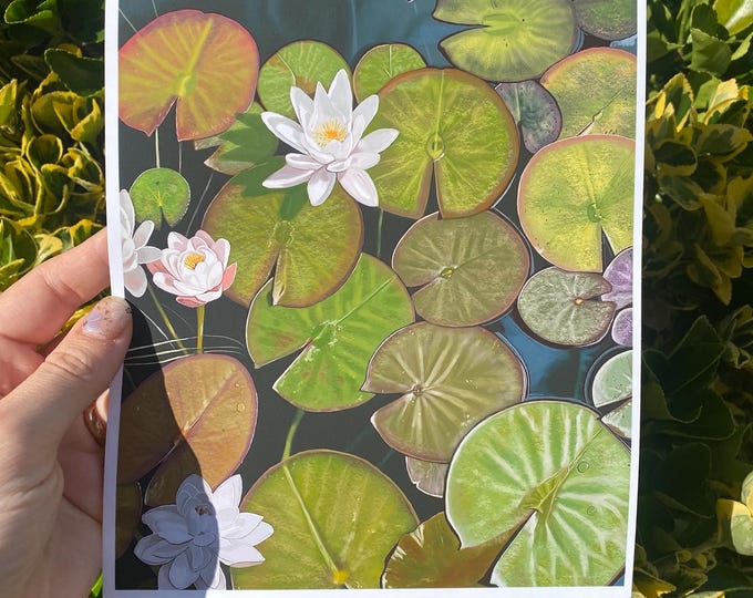 Serenity - Waterlillies | Giclee Print | Home Decor | Sizes A5-A3 | Ready To Frame
