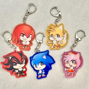 May include: Six acrylic keychains featuring cartoon characters. The keychains include Sonic, Tails, Knuckles, Shadow, and Amy Rose. Each character is in a different color, with silver key rings attached.