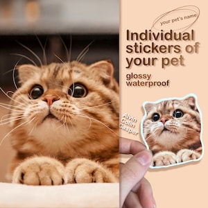 Stickers personnalisés pour votre animal de compagnie | Stickers individuels avec photo de votre animal de compagnie