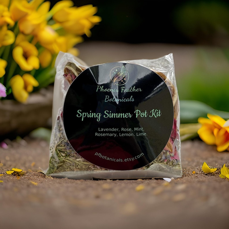 Simmer Pot Kits - Choose Your Scent - Natural Allergy and Pet Friendly Stovetop Potpourri image 5