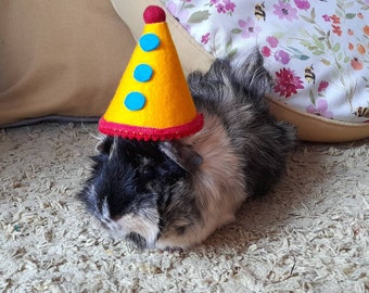 Guinea Pig Hat, Spotty Party hat photographic prop.