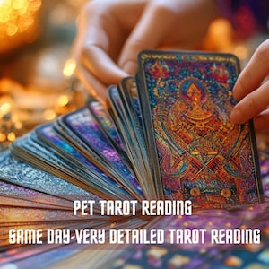 Paranormaal huisdier lezen, telepathische communicatie met dieren, paranormaal lezen voor elk huisdier houdt mijn huisdier van mij, lezen overleden huisdier, kat, hond, tarot
