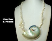 GORGEOUS Opalescent Nautilus SeaShell Pendant on White Luminescent Glass Pearl Bead Necklace