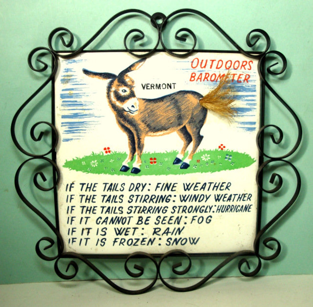 Kitsch Indoor Barometer Tile Trivet Framed in Wrought Iron, Donkey W