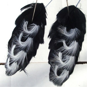 May include: Two black feathers with white tips. The feathers are arranged in a symmetrical pattern, with the white tips facing outward. The feathers are attached to a pin or wire.