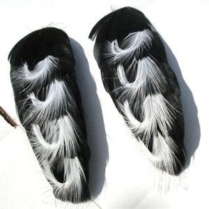 2 Feather Pads, Black and White Feathers, Vintage 1980s, Pair White Curled feathers On Black feathers image 2