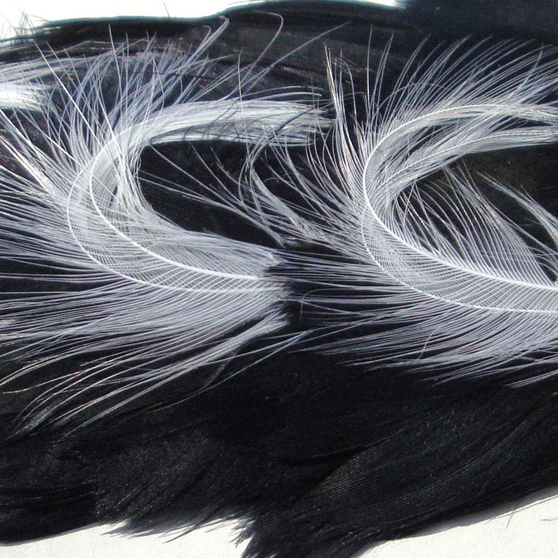 2 Feather Pads, Black and White Feathers, Vintage 1980s, Pair White Curled feathers On Black feathers image 3
