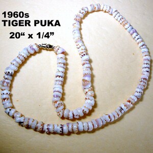 Mans Vintage REAL Tiger Puka Shell Choker, 20", White Shells W ...