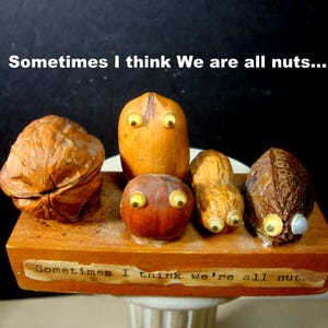 Vintage 1960s Nut Display: 