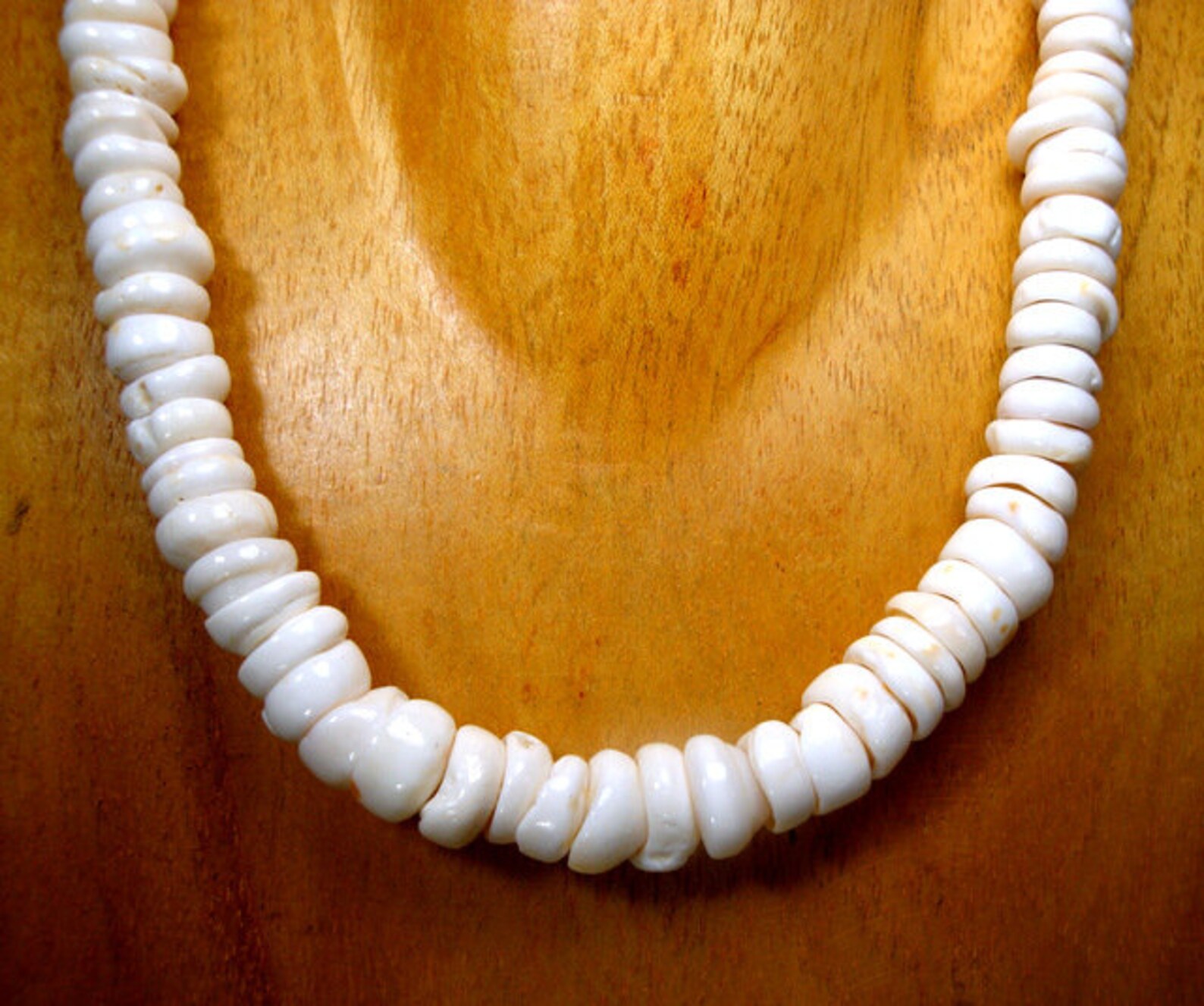 REAL PUKA Shell Long Necklace 18 0r 45.72cm Large Etsy