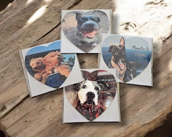 Custom Pet Puzzle – 8"x8" Personalized Pet Photo Puzzle