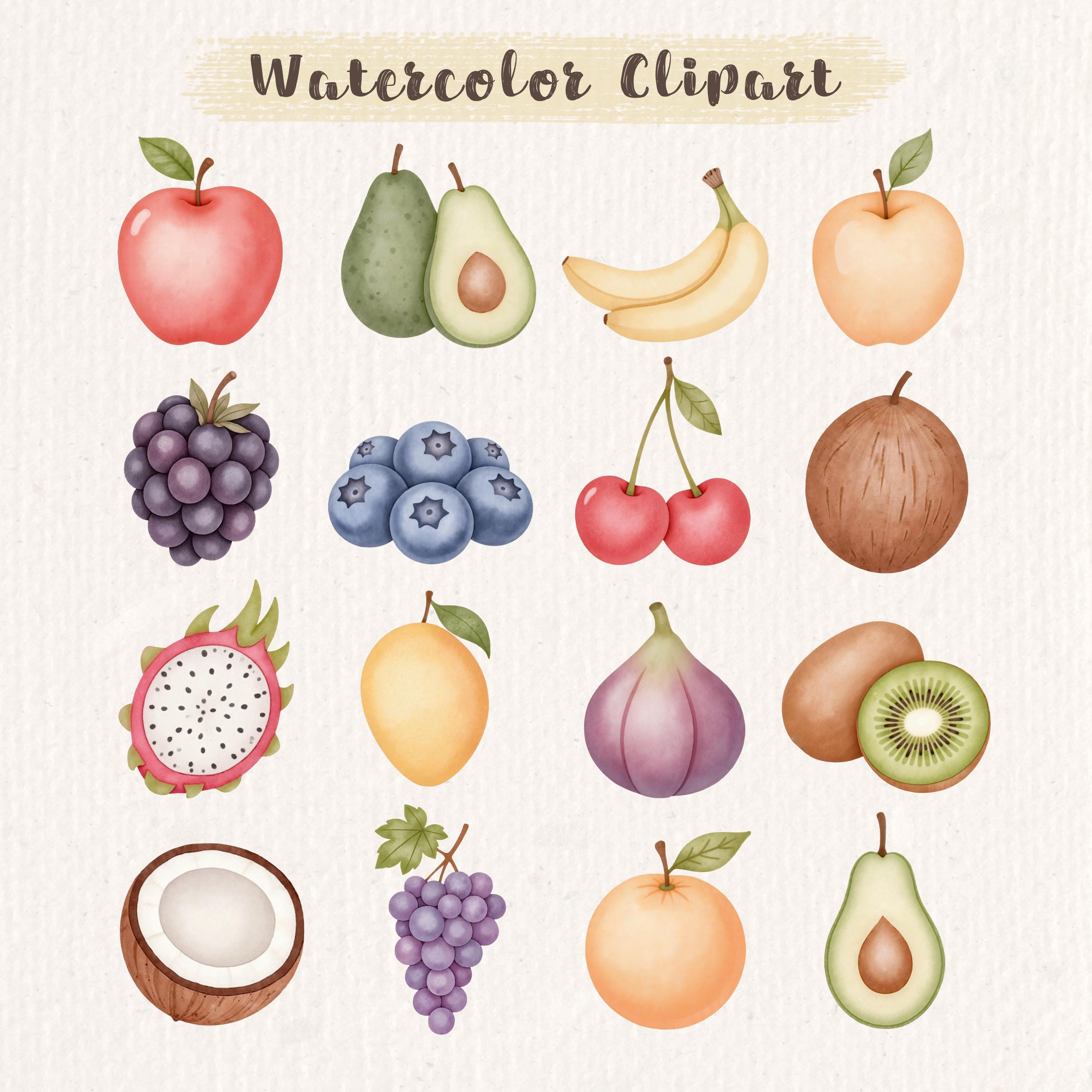 Watercolor Fruits Clipart Bundle, Cute Fruits Clipart, Digital Download ...