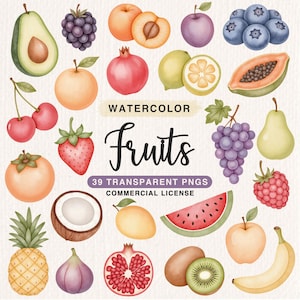 Aquarel fruit clipartbundel, schattige fruit clipart, digitale download, PNG-graphics, afdrukbare scrapbooking clipart, commercieel gebruik