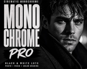 Schwarzweiß-LUTs Filmische Monochrome Voreinstellungen Foto Video Color Grading Pack