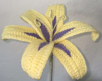 Crochet sundrop flower | Rapunzel flower