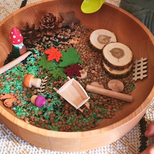 Forest Floor Sensory Bin, Montessori Inspired Loose Parts, Open ended Preschool educational toy, Fall Sensory Box, Small world messy play