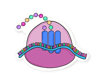 Ribosome Vinyl Sticker: Colorful Cartoon Biology Science Student Gift