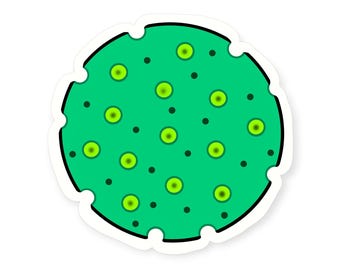 Nucleus Vinyl Sticker: Cellular Biology & Science Student