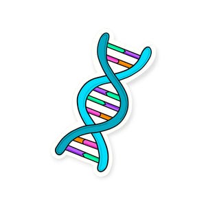 Könnte beinhalten: Ein farbenfroher Aufkleber mit einer stilisierten DNA-Doppelhelix. Das Design hat einen hellblauen Umriss mit einem dunkleren blauen Innenraum. Die inneren Stränge bestehen aus Segmenten in Orange, Lila, Grün und Rosa.