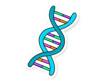 DNA Double Helix Vinyl Sticker: Colorful Biology STEM Decal
