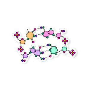 DNA Molecular Structure Vinyl Sticker – Colorful Cartoon Genetics, Biology and STEM Student, Handmade, Water-Resistant, 4 Sizes & 5 Finishes