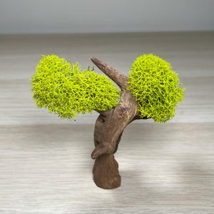 May include: A small, decorative tree made of driftwood with two bright green moss balls attached to the branches.