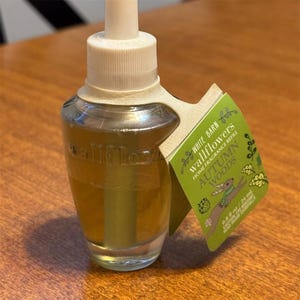 Bath & Body Works Wallflowers Plug-In Refill Bulb Autumn Woods 0.8 fl oz