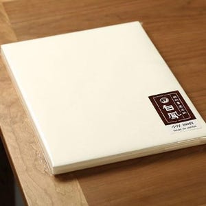100 fogli, squisita carta artistica giapponese, carta per calligrafia