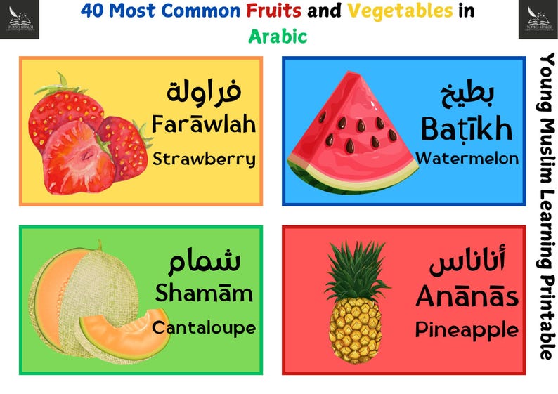 Arabic Fruits & Vegetables Flashcards: Bilingual Learning Tool (digital ...