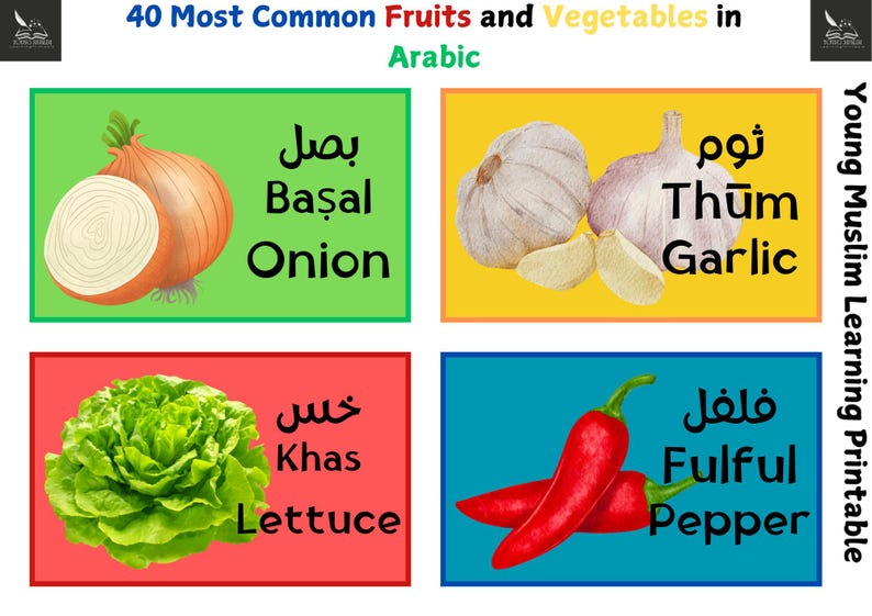 Arabic Fruits & Vegetables Flashcards: Bilingual Learning Tool (digital ...