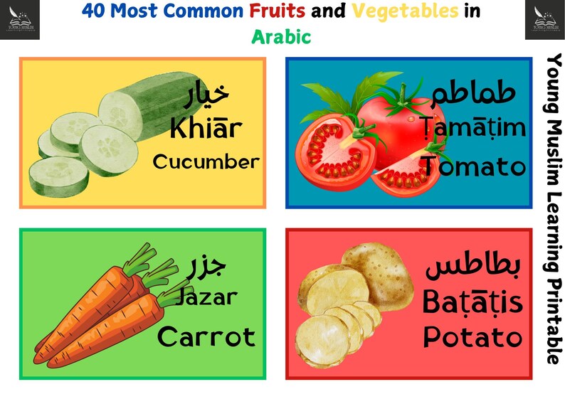 Arabic Fruits & Vegetables Flashcards: Bilingual Learning Tool (digital ...