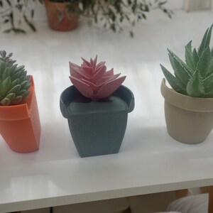 Mini Succulentes Magnétiques – Déco Frigo & Bureau Originale