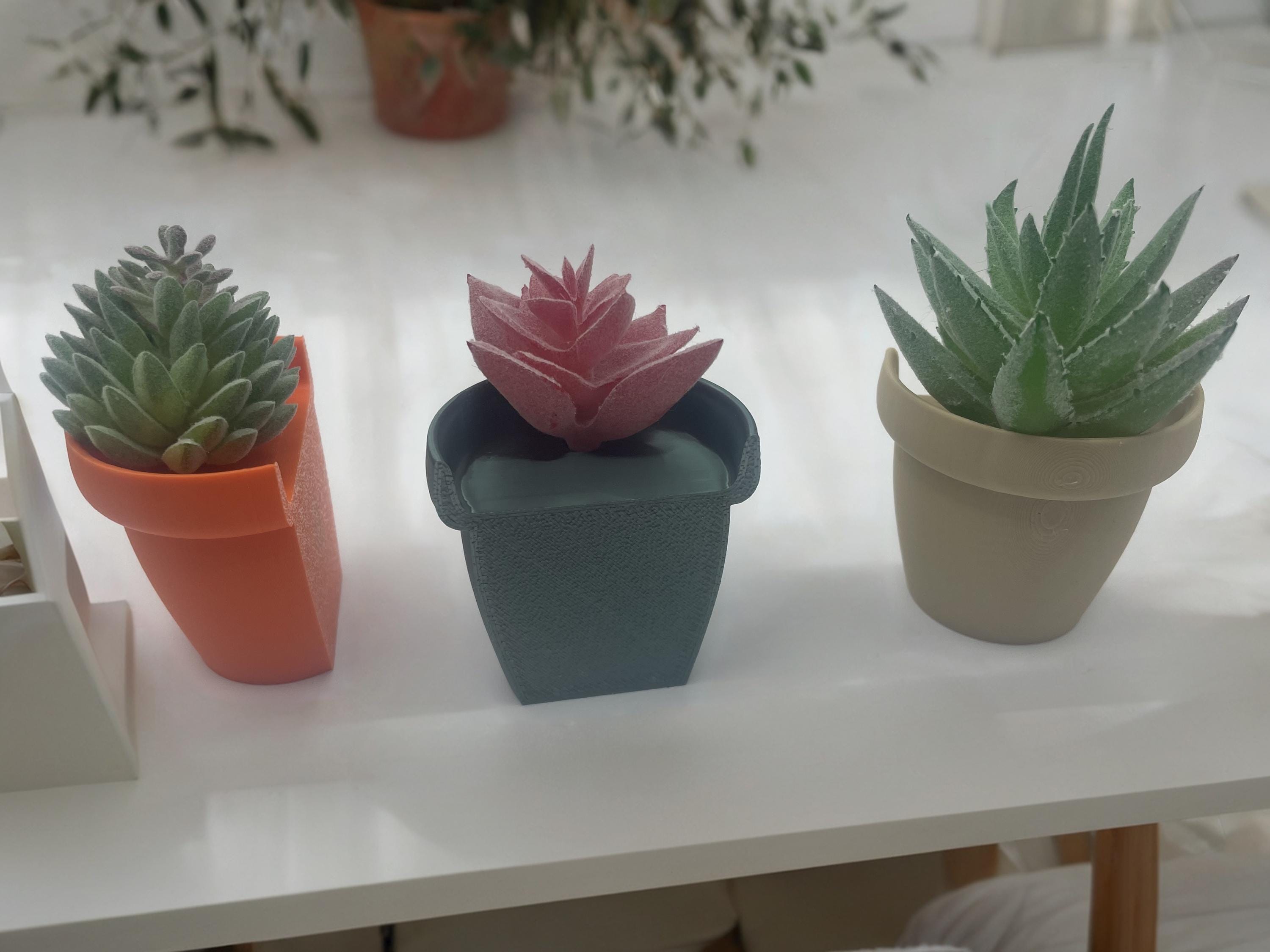 Mini Succulentes Magnétiques - Déco Frigo & Bureau Originale